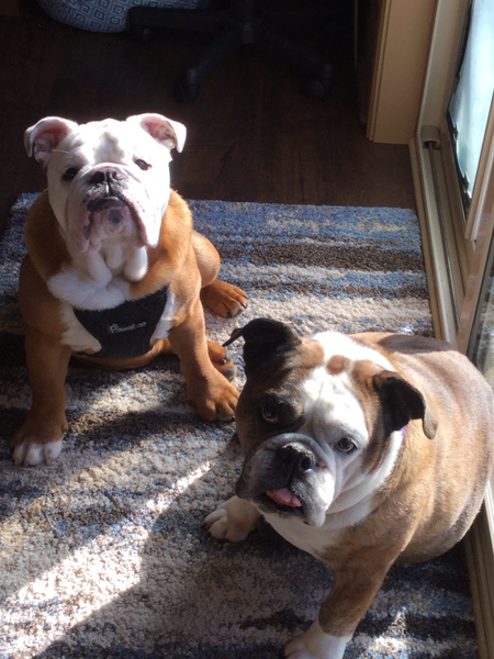 Rocco and Roxzie