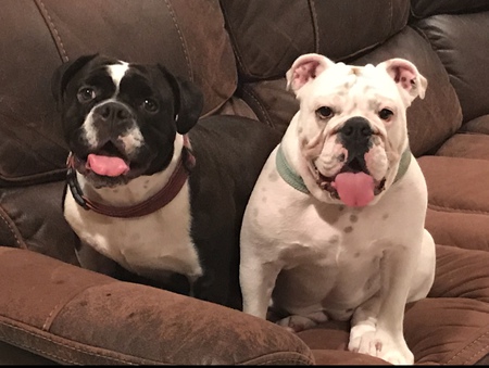 Barnum and Bailey