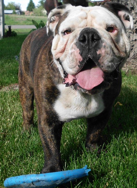 Humphrey