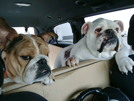 Bentley and Winston