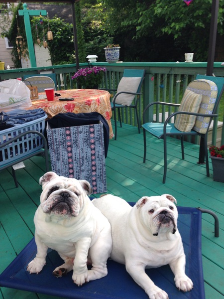 Wilbur and Bella Balcer 