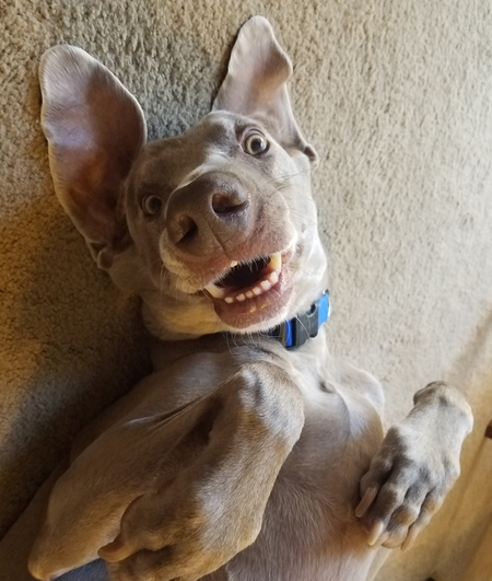 Sherman being goofy