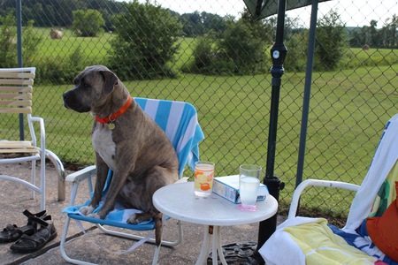 Sitting by the Pool