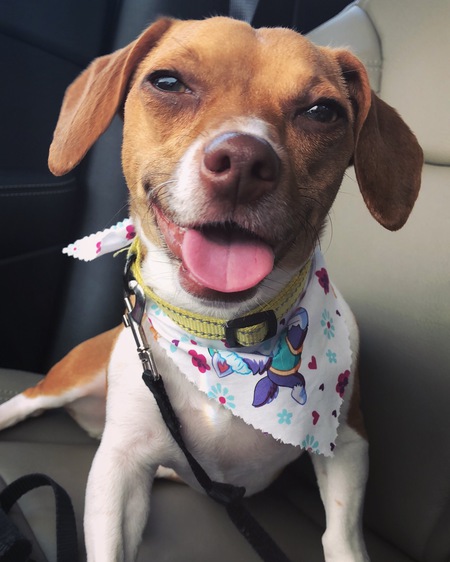 Charlotte “Charlie”
