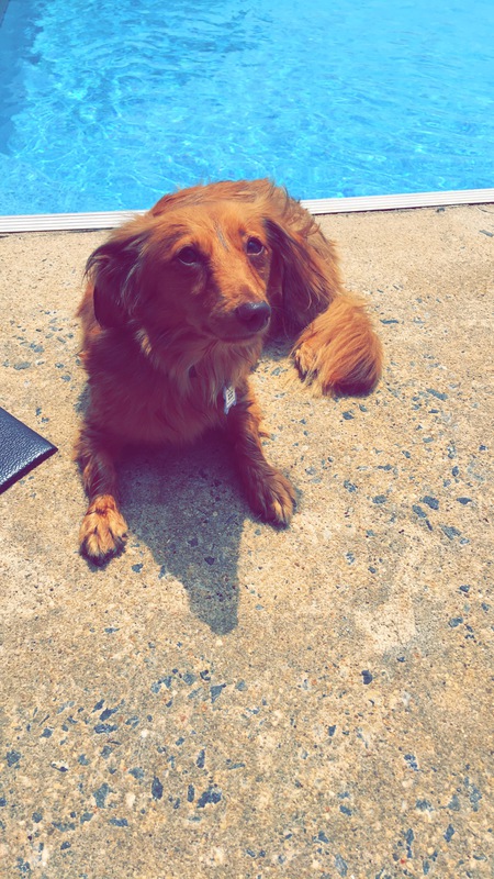 Maggie