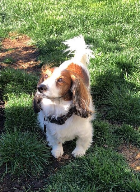 Oscar Mayer aka Fabio