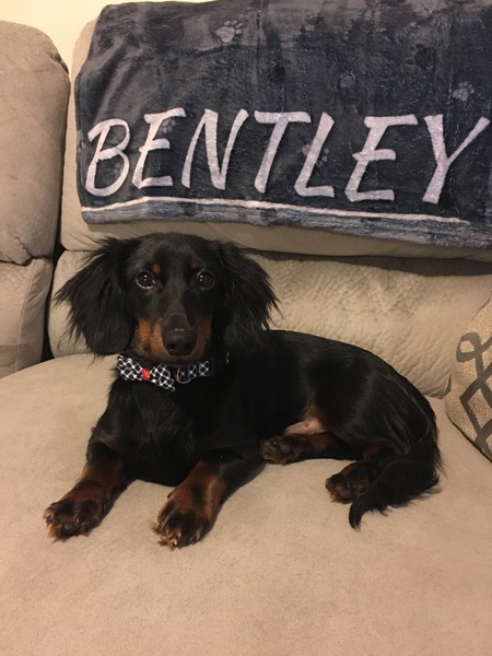 Bentley 