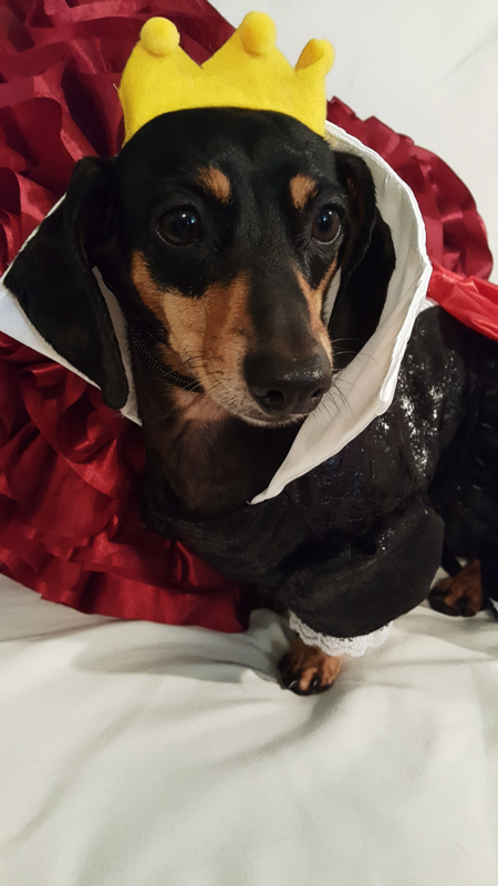 Holly