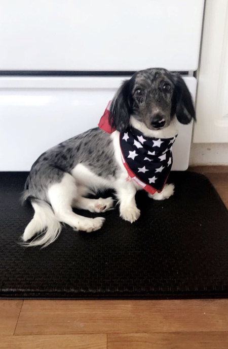 Rudy 