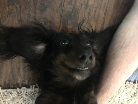 Millie