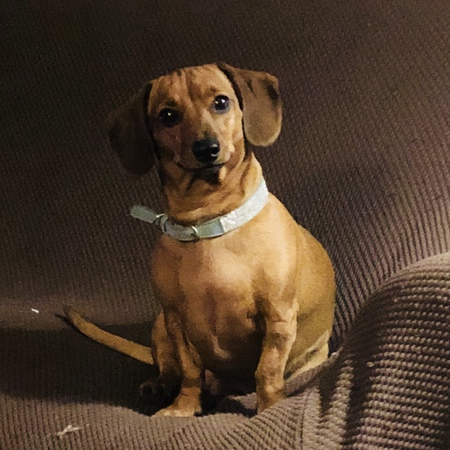 Ruby