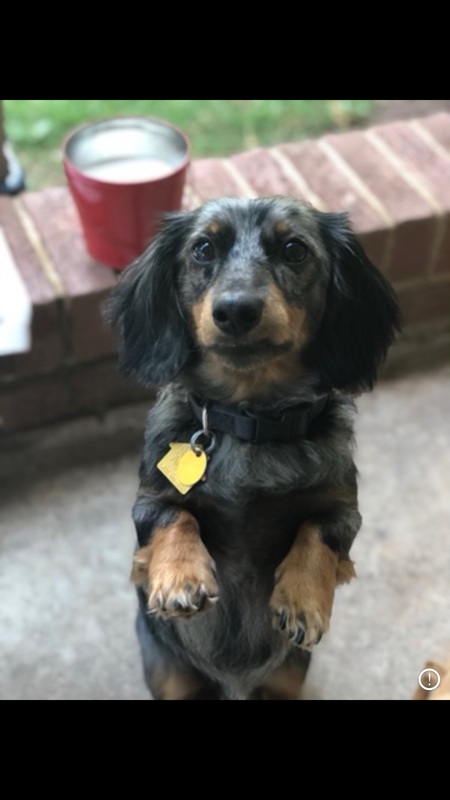 Finley