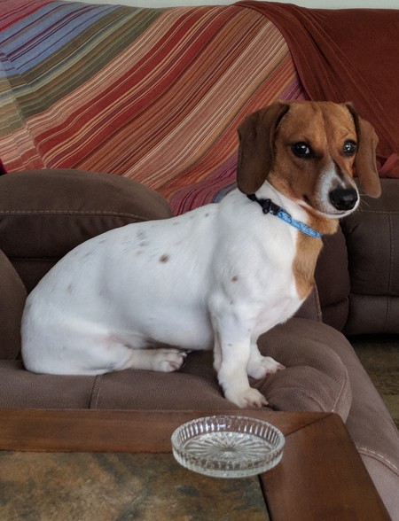 Zeke
