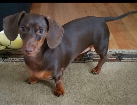 Zoe