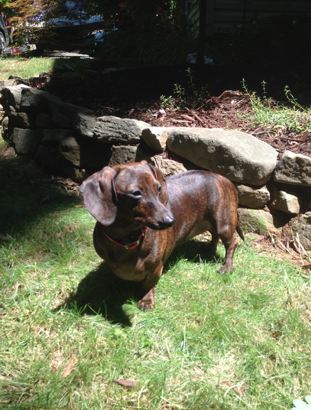 Lola