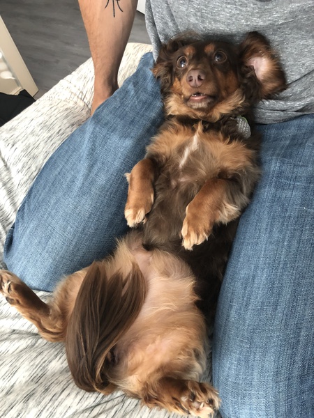 Zoey