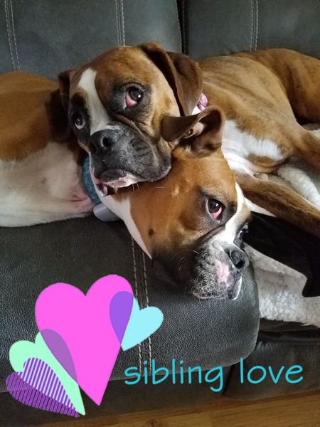 Cooper and Dempsey