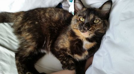 Winnie