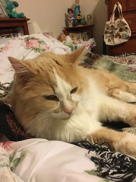 Leo