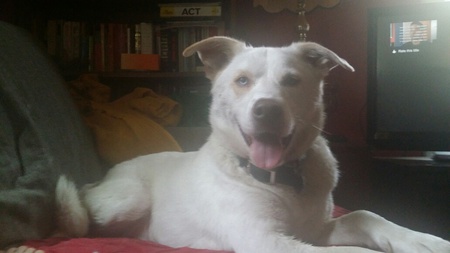 Buddy Jones