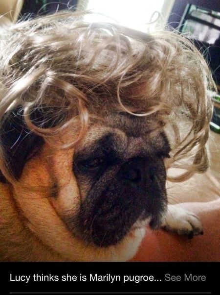 Lucy 