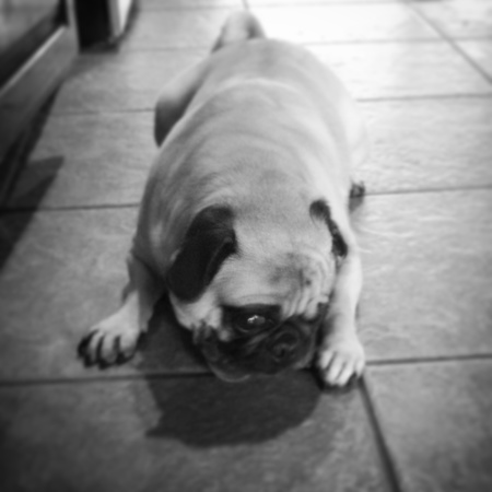 Bennie