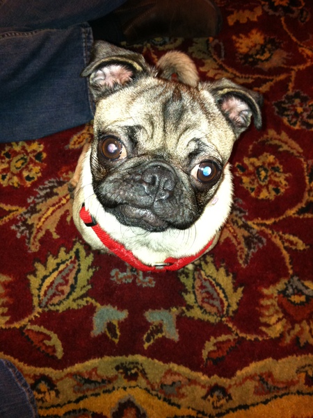 Lola