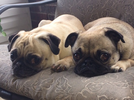 Zoe & Kloe