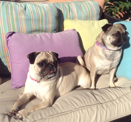 Zoe & Kloe