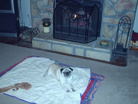 Sally Mae