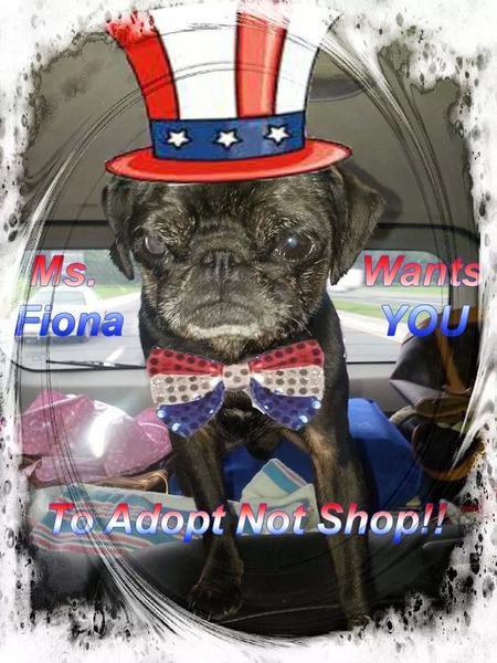 Ms. Fiona aka The Sweetpea