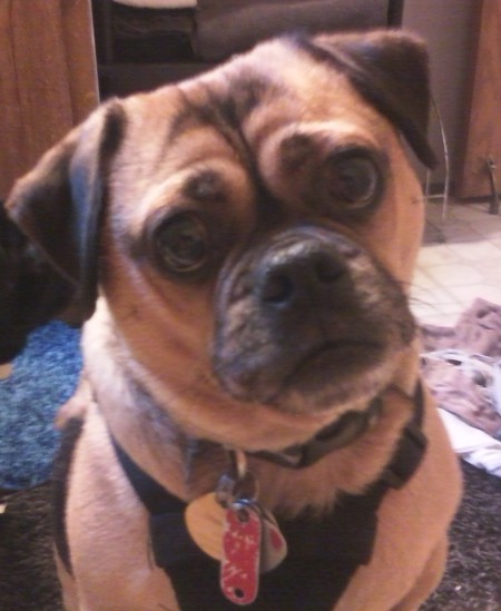 Rosco