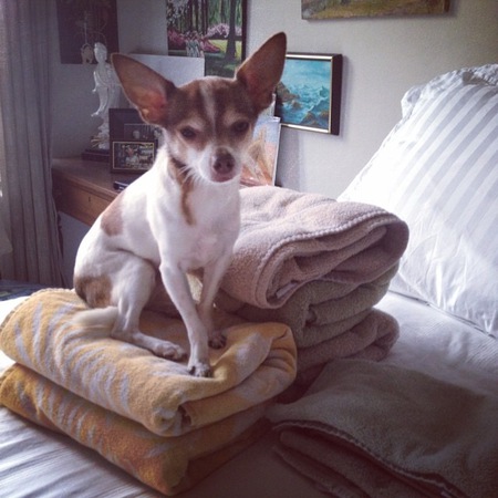 Aggie James Franco Little Wayne 