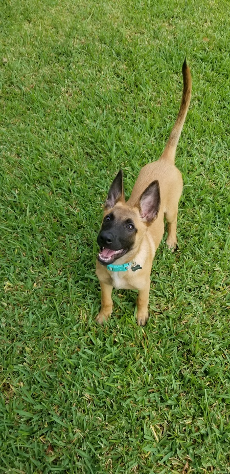 Athena