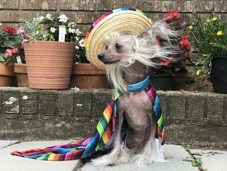 ChaCha LaRue 