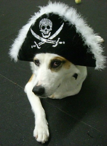 Gracie Lucy-Loo