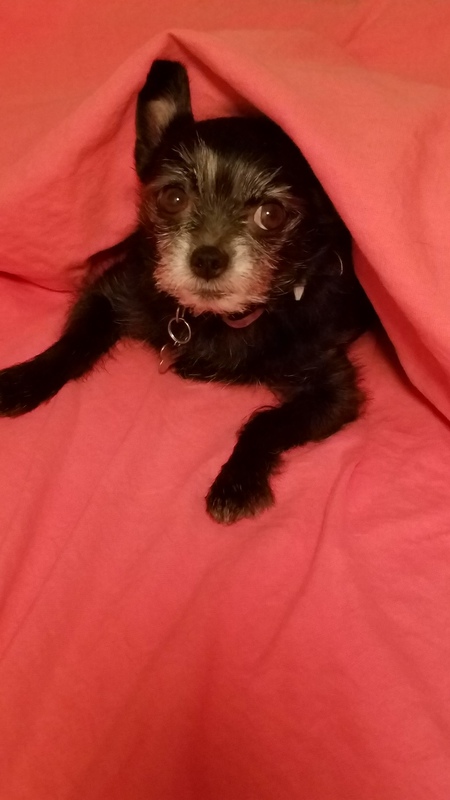 Sue