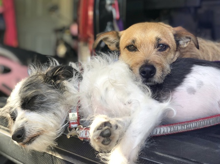 Edith & Oliver