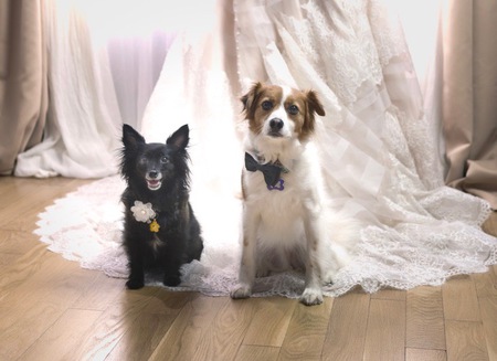 George & Fiona