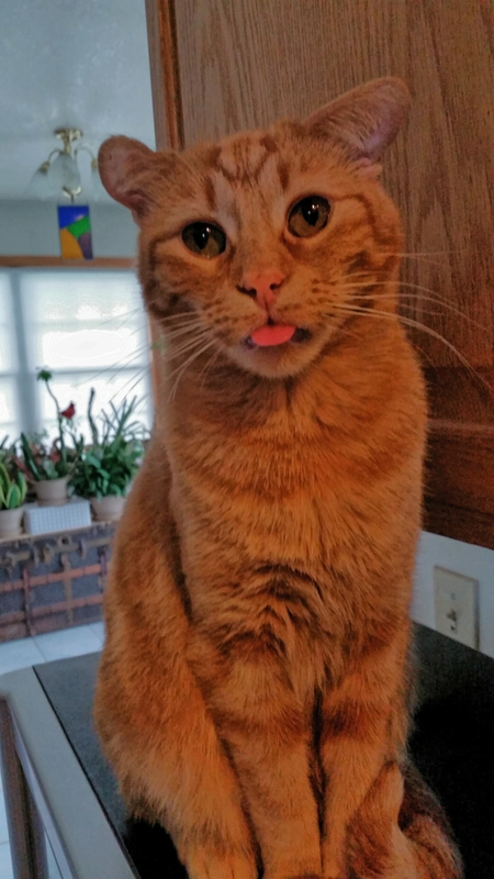 Schnicklefritz