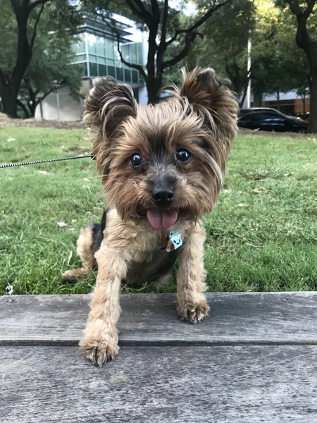 Baylor