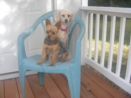 Penny & Cupid