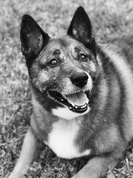 Lucy