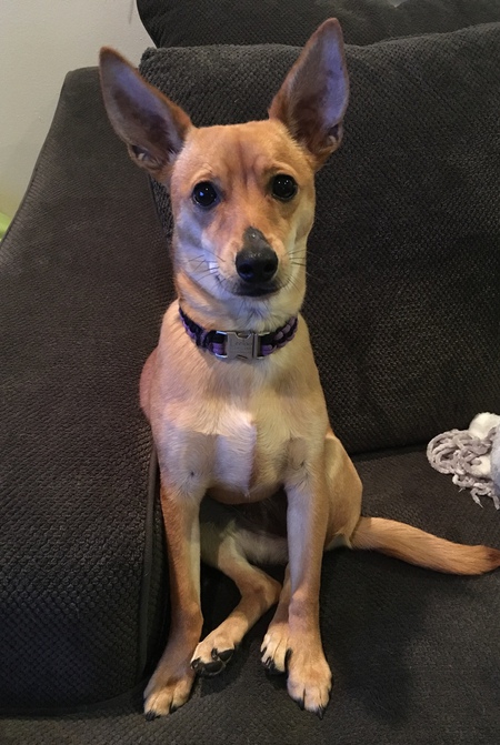 Leeloo