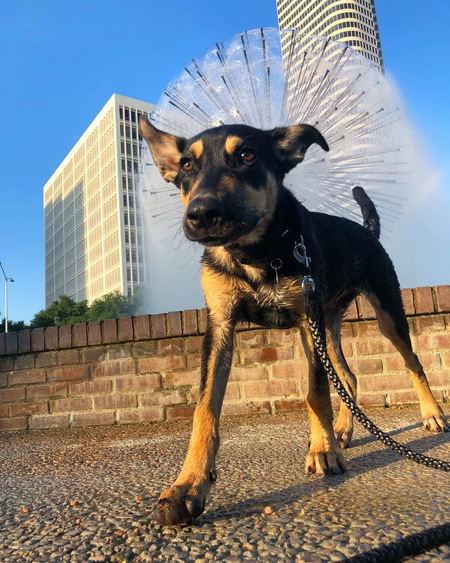 Astro