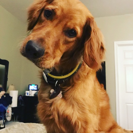 Little Remi Rocket