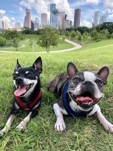 Chimmy & Ollie