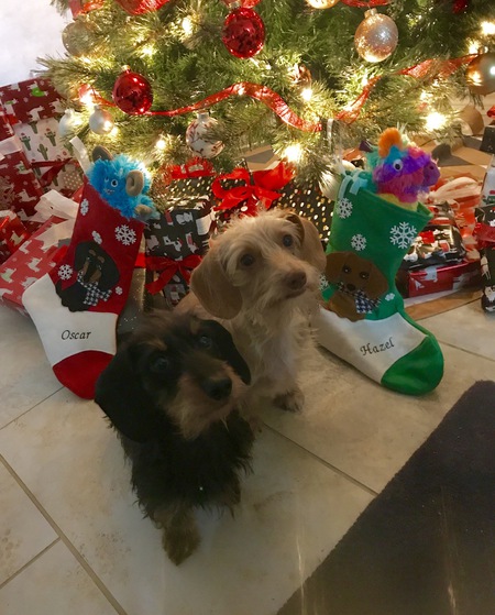 Hazel & Oscar