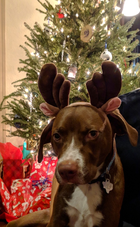 Mylo