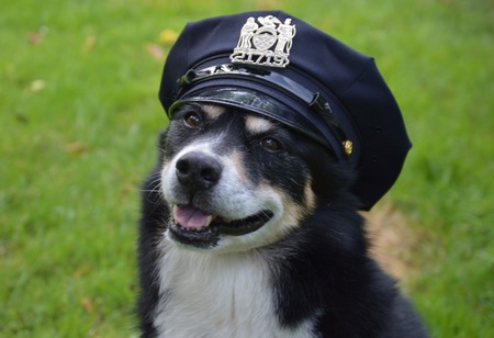 Chief Inspector Jusky McFreckles
